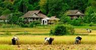 Mai Chau Valley View 2 Days